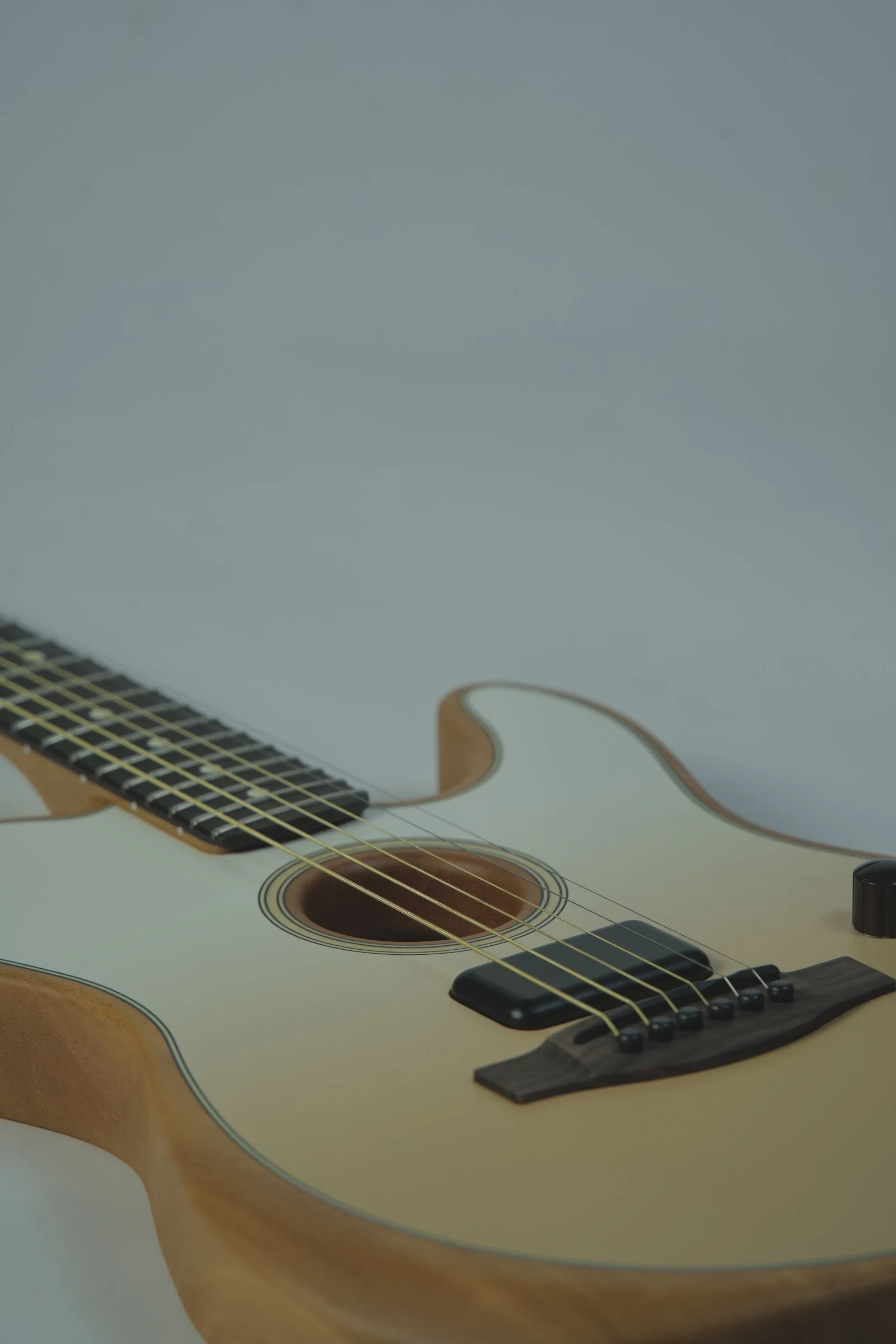 Fender Standard Telecaster Electric Guitar - Olympic White